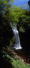 Waterfall In A Forest, Glencar Waterfall, County Leitrim, Republic Of Ireland PosterPrint - Item # VARDPI1798849