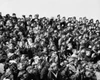 Crowd watching a game Poster Print - Item # VARSAL2558314