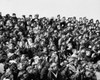 Crowd watching a game Poster Print