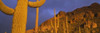 http://c328301.r1.cf1.rackcdn.com/PPI70839S.jpg