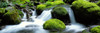 http://c328301.r1.cf1.rackcdn.com/PPI82171L.jpg
