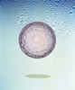 Crystal sphere floating in water and bubbles Poster Print by Panoramic Images (20 x 24) - Item # PPI117980