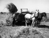 Farmer working in a field Poster Print - Item # VARSAL25530656