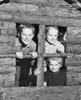 Close-up of three children looking through the window of a playhouse Poster Print - Item # VARSAL25516246