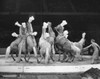 Horses performing in a circus Poster Print - Item # VARSAL2558085