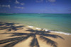 Beach Shoreline With Palm Tree Shadows, Calm Turquoise Ocean Horizon PosterPrint - Item # VARDPI2001074