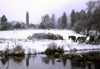 Glendalough, Co Wicklow, Ireland PosterPrint - Item # VARDPI1798384