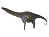 Argentinosaurus, a titanosaur sauropod dinosaur from the Cretaceous period in Argentina Poster Print - Item # VARPSTCFR200117P