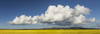 http://c328301.r1.cf1.rackcdn.com/DPI12273011.jpg