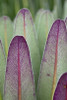 http://c328301.r1.cf1.rackcdn.com/PDDAF48MZW0149B.jpg
