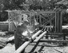 Manual worker sawing a wooden plank on a construction site Poster Print - Item # VARSAL25525307