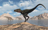 A carnivorous Nanotyrannus stalking a herd of Corythosaurus dinosaurs during Earth's Cretaceous Period Poster Print - Item # VARPSTMAS600015P
