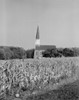 USA  New England  field and church Poster Print - Item # VARSAL255423452