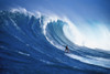 Hawaii, Maui, Peahi, Buzzy Kerbox Surfing Big Wave Curling And Crashing Behind PosterPrint - Item # VARDPI1996625