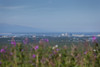 Skyline View Of Anchorage, Alaska, Southcentral, Summer PosterPrint - Item # VARDPI2143360