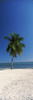 http://c328301.r1.cf1.rackcdn.com/PPI39122S.jpg