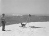 USA  New Hampshire  Mount Washington  Cat on skis Poster Print - Item # VARSAL255418790