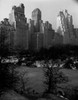 USA  New York  New York City  skyline from Central Park Poster Print - Item # VARSAL255416891