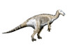 Mantellisaurus dinosaur, white background Poster Print - Item # VARPSTNBT600123P