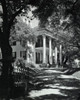 Facade of a building  Stanton Hall  Natchez  Mississippi  USA Poster Print - Item # VARSAL25547700