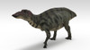 Shuangmiaosaurus dinosaur, white background Poster Print