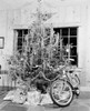 Christmas tree with gifts Poster Print