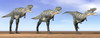 Three Aucasaurus dinosaurs standing in the desert by daylight Poster Print - Item # VARPSTEDV600008P