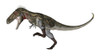 Nanotyrannus dinosaur roaring, white background Poster Print - Item # VARPSTEDV600198P