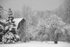 Snow covered trees and rooftop of a barn; Waterloo, Quebec, Canada PosterPrint - Item # VARDPI12270754