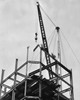 Low angle view of construction workers on a construction site Poster Print - Item # VARSAL25527933