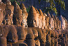 Buddha Head Statues, Angkor Wat Temple Complex PosterPrint - Item # VARDPI1787676