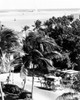 Bahamas  Nassau  Horse drawn and coastline in the background  high angle view Poster Print - Item # VARSAL255424593