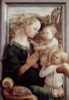 Madonna Del Granduca   1505  Raphael  Oil On Wood Panel  Palatine Gallery  Palazzo Pitti  Florence  Italy Poster Print - Item # VARSAL3810341489