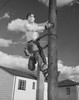 Low angle view of an electrician climbing on a pole Poster Print - Item # VARSAL25537430