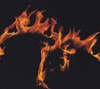 Flames Poster Print by Panoramic Images (16 x 15) - Item # PPI136173