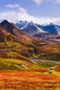 Fall Colours And Alaska Range, Denali National Park, Alaska PosterPrint - Item # VARDPI2046160