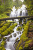 Proxy Falls In Willamette National Forest; Oregon, United States of America PosterPrint - Item # VARDPI1998566