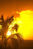 Sunset, Wailea, Maui, Hawaii, Usa PosterPrint - Item # VARDPI1834672