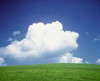 Clouds over a grassland Poster Print by Panoramic Images (16 x 14) - Item # PPI121308