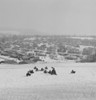 Children sledding down hill Poster Print - Item # VARSAL255423900