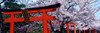 Japan Takenaka Inari Shrine Poster Print by Panoramic Images (37 x 12) - Item # PPI4024