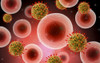 Microscopic view of cell and virus Poster Print - Item # VARPSTSTK701035H