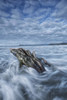 The tide coming in and flowing around a sunken piece of driftwood, chesterman beach;Tofino, vancouver island, british columbia, canada PosterPrint - Item # VARDPI2325119