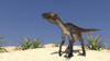 Utahraptor in a desert landscape Poster Print - Item # VARPSTKVA600300P