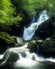 Waterfall In Killarney National Park, Ireland PosterPrint - Item # VARDPI1798458