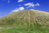 Tire tracks on a grassy hill; Cypress Hills, Saskatchewan, Canada PosterPrint - Item # VARDPI12259566