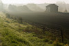 Morning Mist Over Field And Outbuilding, Bradford, Ontario PosterPrint - Item # VARDPI2031889