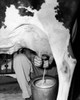 Low section view of a farmer milking a cow Poster Print - Item # VARSAL25535841