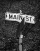 Close-up of a street name sign Poster Print - Item # VARSAL25549651