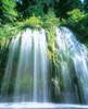 Mossbrae Falls  CA Poster Print by Panoramic Images (12 x 15) - Item # PPI45209